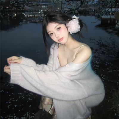 完美计划